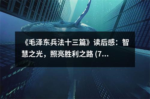 《毛澤東兵法十三篇》讀后感：智慧之光，照亮勝利之路 (750字)