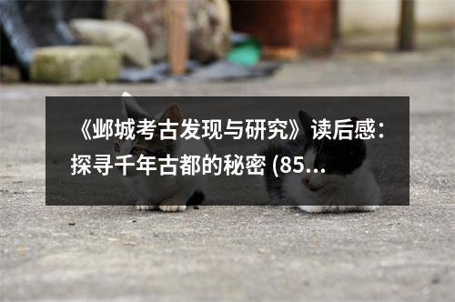《鄴城考古發(fā)現(xiàn)與研究》讀后感：探尋千年古都的秘密 (850字)