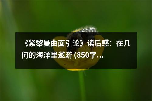 《緊黎曼曲面引論》讀后感：在幾何的海洋里遨游 (850字)