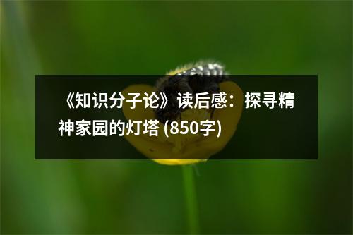 《知識分子論》讀后感：探尋精神家園的燈塔 (850字)
