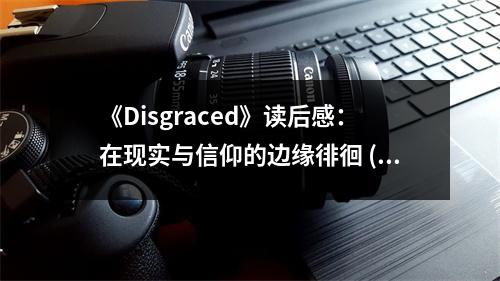 《Disgraced》讀后感：在現(xiàn)實(shí)與信仰的邊緣徘徊 (850字)