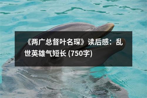 《兩廣總督葉名琛》讀后感：亂世英雄氣短長 (750字)