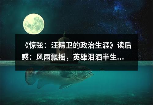 《驚弦：汪精衛(wèi)的政治生涯》讀后感：風雨飄搖，英雄淚灑半生路 (700字)