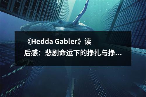 《Hedda Gabler》讀后感：悲劇命運(yùn)下的掙扎與掙扎 (700字)
