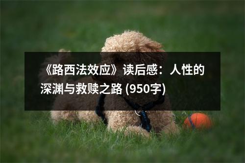 《路西法效應》讀后感：人性的深淵與救贖之路 (950字)