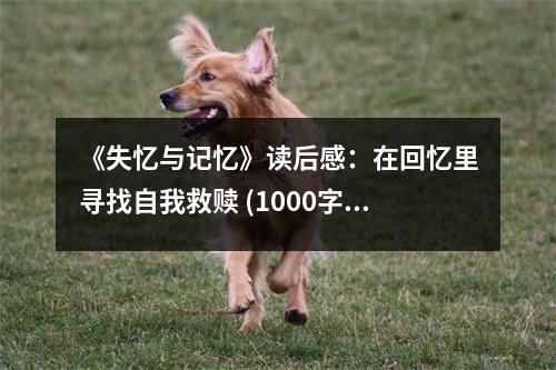 《失憶與記憶》讀后感：在回憶里尋找自我救贖 (1000字)