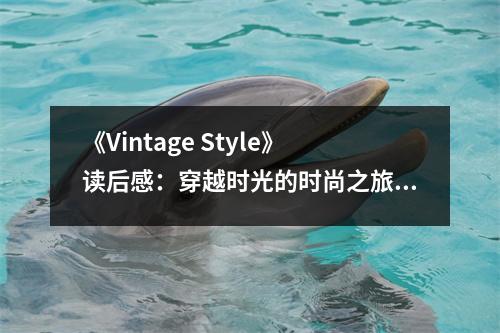 《Vintage Style》讀后感：穿越時(shí)光的時(shí)尚之旅 (900字)