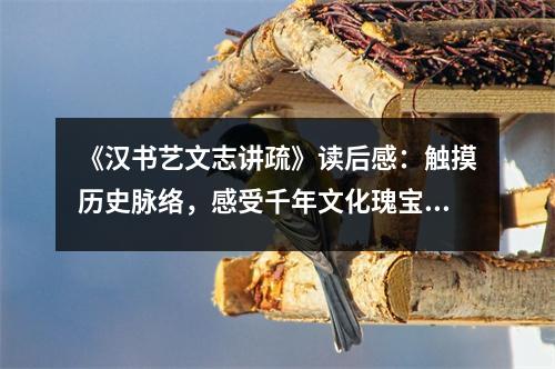 《漢書藝文志講疏》讀后感：觸摸歷史脈絡(luò)，感受千年文化瑰寶 (1050字)