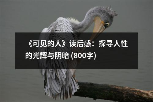 《可見的人》讀后感：探尋人性的光輝與陰暗 (800字)