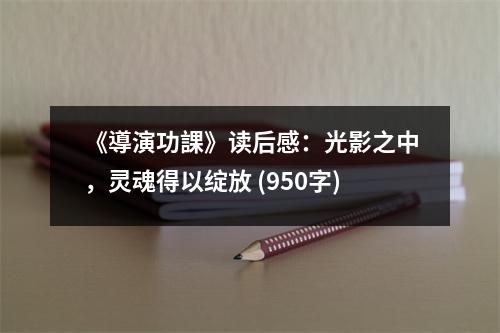 《導(dǎo)演功課》讀后感：光影之中，靈魂得以綻放 (950字)