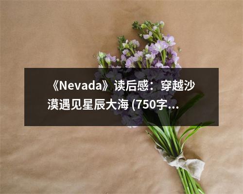 《Nevada》讀后感：穿越沙漠遇見星辰大海 (750字)
