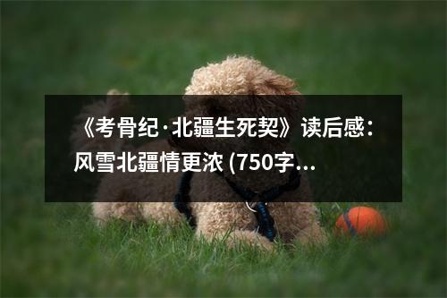 《考骨紀(jì)·北疆生死契》讀后感：風(fēng)雪北疆情更濃 (750字)