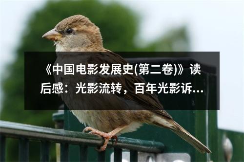 《中國電影發(fā)展史(第二卷)》讀后感：光影流轉，百年光影訴衷腸 (900字)