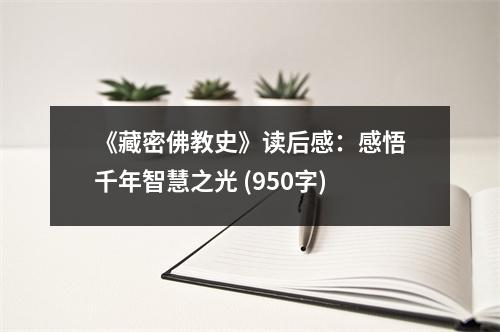 《藏密佛教史》讀后感：感悟千年智慧之光 (950字)