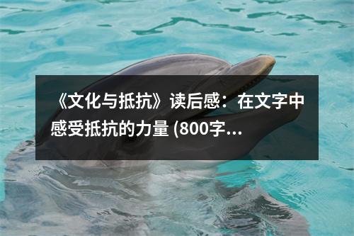 《文化與抵抗》讀后感：在文字中感受抵抗的力量 (800字)