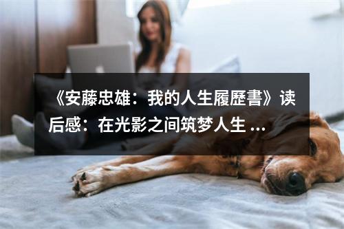 《安藤忠雄：我的人生履歷書(shū)》讀后感：在光影之間筑夢(mèng)人生 (850字)