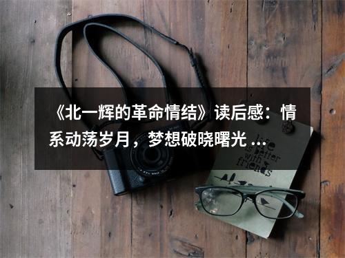 《北一輝的革命情結(jié)》讀后感：情系動(dòng)蕩歲月，夢(mèng)想破曉曙光 (1050字)