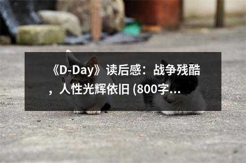 《D-Day》讀后感：戰(zhàn)爭殘酷，人性光輝依舊 (800字)