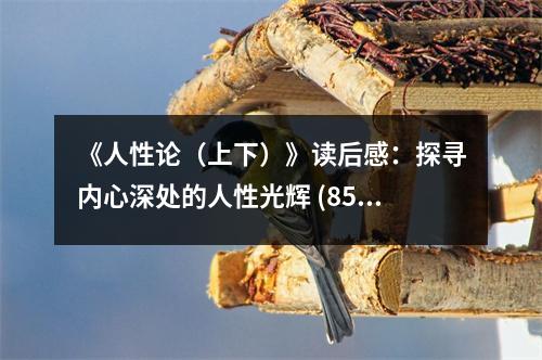 《人性論（上下）》讀后感：探尋內(nèi)心深處的人性光輝 (850字)