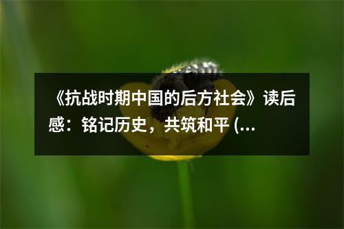 《抗戰(zhàn)時期中國的后方社會》讀后感：銘記歷史，共筑和平 (650字)