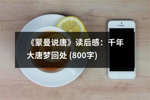 《蒙曼說唐》讀后感：千年大唐夢回處 (800字)