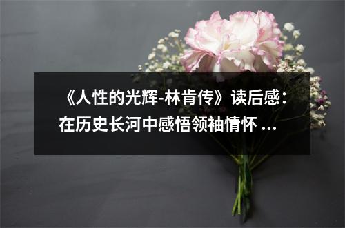 《人性的光輝-林肯傳》讀后感：在歷史長河中感悟領(lǐng)袖情懷 (900字)