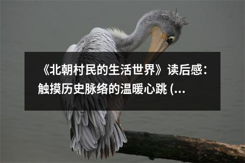 《北朝村民的生活世界》讀后感：觸摸歷史脈絡(luò)的溫暖心跳 (750字)