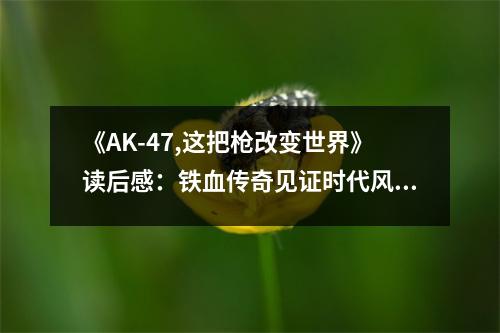 《AK-47,這把槍改變世界》讀后感：鐵血傳奇見證時代風(fēng)云 (750字)