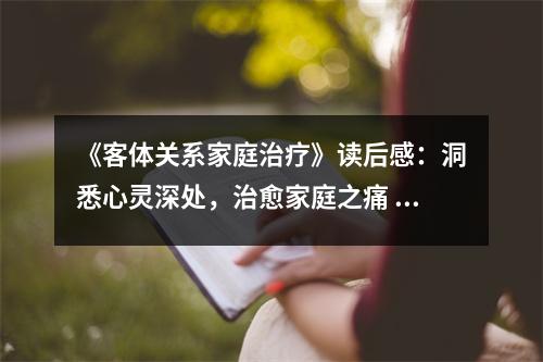 《客體關(guān)系家庭治療》讀后感：洞悉心靈深處，治愈家庭之痛 (850字)
