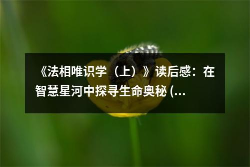 《法相唯識學（上）》讀后感：在智慧星河中探尋生命奧秘 (850字)