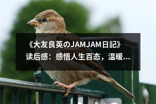 《大友良英のJAMJAM日記》讀后感：感悟人生百態(tài)，溫暖如春 (1000字)