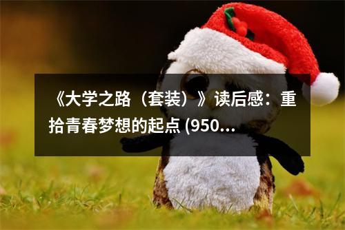 《大學(xué)之路（套裝）》讀后感：重拾青春夢(mèng)想的起點(diǎn) (950字)