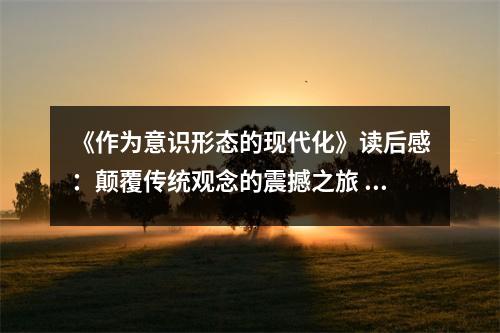 《作為意識(shí)形態(tài)的現(xiàn)代化》讀后感：顛覆傳統(tǒng)觀念的震撼之旅 (900字)