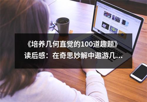 《培養(yǎng)幾何直覺(jué)的100道趣題》讀后感：在奇思妙解中遨游幾何世界 (850字)