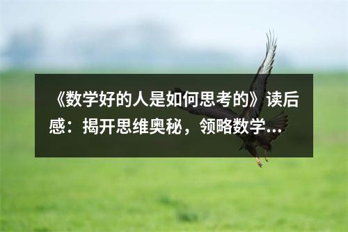 《數(shù)學(xué)好的人是如何思考的》讀后感：揭開思維奧秘，領(lǐng)略數(shù)學(xué)之美 (750字)