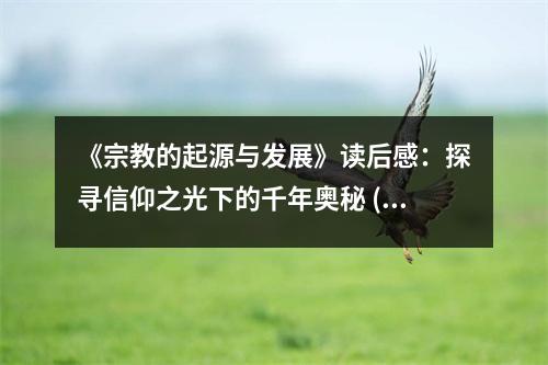 《宗教的起源與發(fā)展》讀后感：探尋信仰之光下的千年奧秘 (850字)