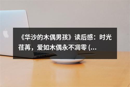 《華沙的木偶男孩》讀后感：時光荏苒，愛如木偶永不凋零 (1000字)