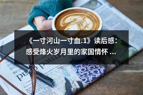 《一寸河山一寸血.1》讀后感：感受烽火歲月里的家國(guó)情懷 (850字)
