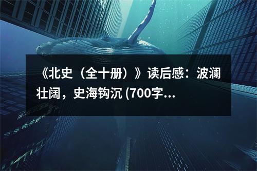 《北史（全十冊）》讀后感：波瀾壯闊，史海鉤沉 (700字)
