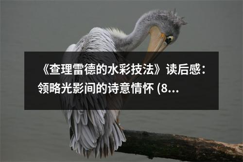 《查理雷德的水彩技法》讀后感：領(lǐng)略光影間的詩意情懷 (800字)