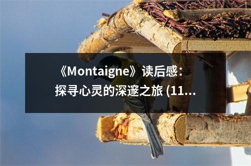 《Montaigne》讀后感：探尋心靈的深邃之旅 (1100字)