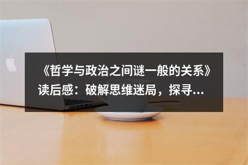 《哲學(xué)與政治之間謎一般的關(guān)系》讀后感：破解思維迷局，探尋智慧光芒 (1000字)