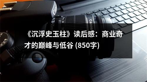 《沉浮史玉柱》讀后感：商業(yè)奇才的巔峰與低谷 (850字)