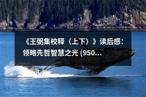 《王弼集校釋（上下）》讀后感：領(lǐng)略先哲智慧之光 (950字)