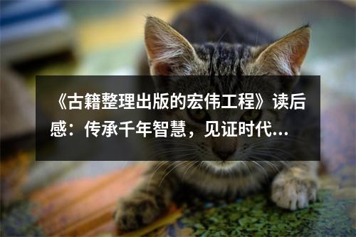 《古籍整理出版的宏偉工程》讀后感：傳承千年智慧，見證時代輝煌 (950字)