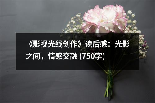 《影視光線創(chuàng)作》讀后感：光影之間，情感交融 (750字)