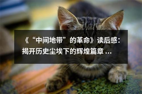 《“中間地帶”的革命》讀后感：揭開歷史塵埃下的輝煌篇章 (850字)