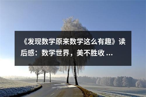 《發(fā)現(xiàn)數(shù)學(xué)原來(lái)數(shù)學(xué)這么有趣》讀后感：數(shù)學(xué)世界，美不勝收 (800字)
