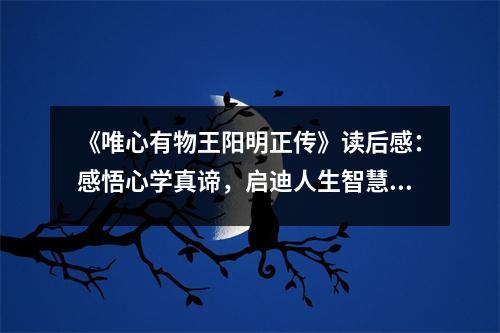 《唯心有物王陽明正傳》讀后感：感悟心學(xué)真諦，啟迪人生智慧 (800字)