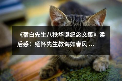 《宿白先生八秩華誕紀(jì)念文集》讀后感：緬懷先生教誨如春風(fēng) (750字)